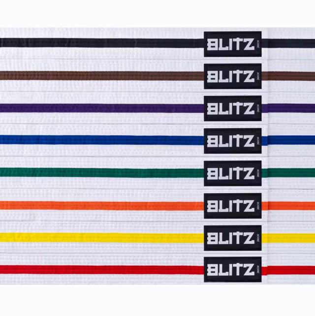 Colour stripe Belt 