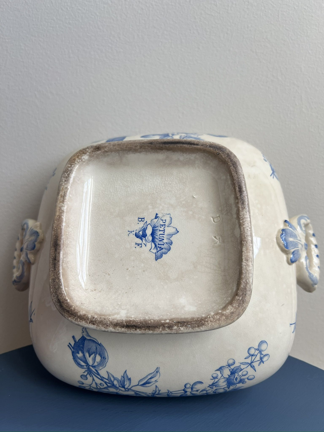 PETUNIA - Bas de soupière Modèle Pétunia de la manufacture Belge BFK