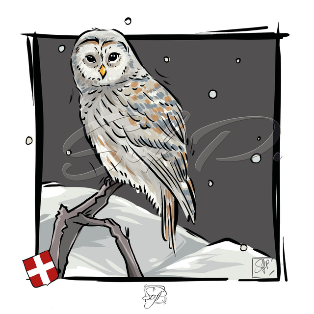 ANIMAUX D&#039;ICI - La chouette effraie