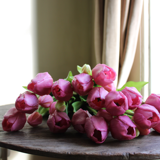 tulp classic vintage pink