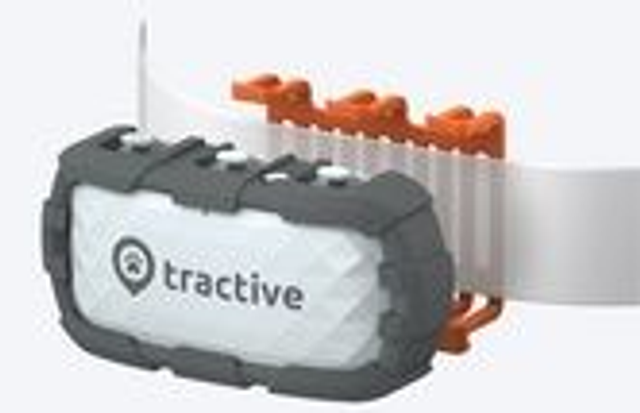 Tractive GPS DOG XL (22 Kg) - Adventure Edition - grey