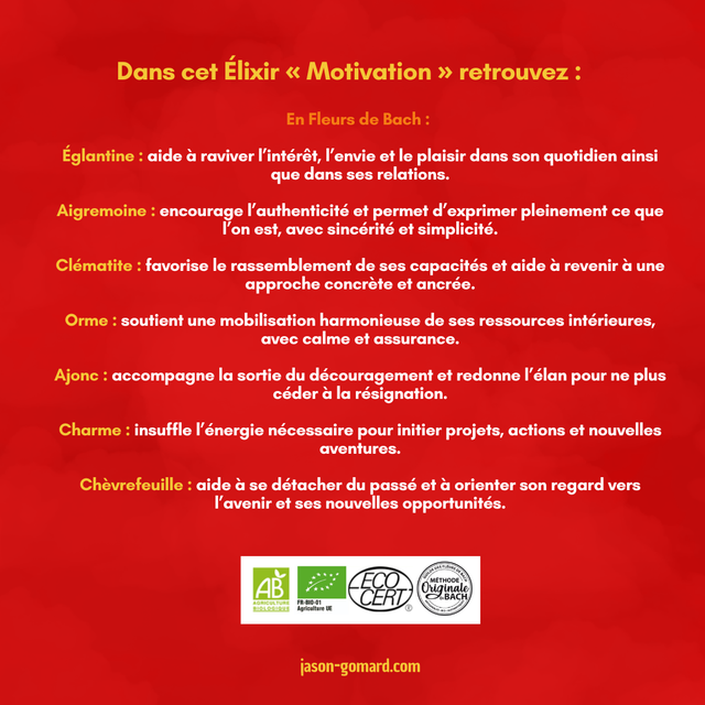 Élixir ~ Motivation