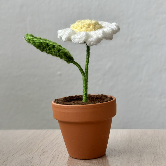 Marguerite 