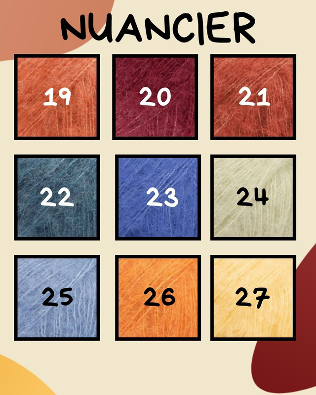 Pré-commande snood janvier/février