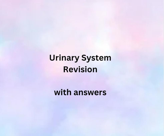 Urinary System Revision