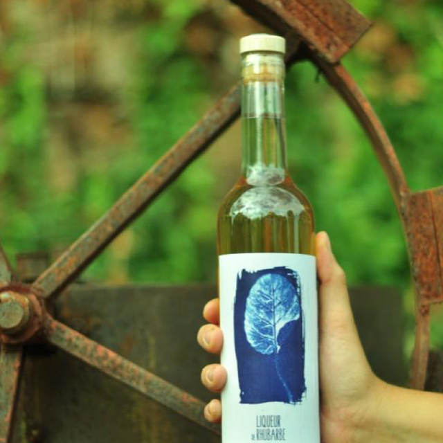 Liqueur de rhubarbe bio 50cl