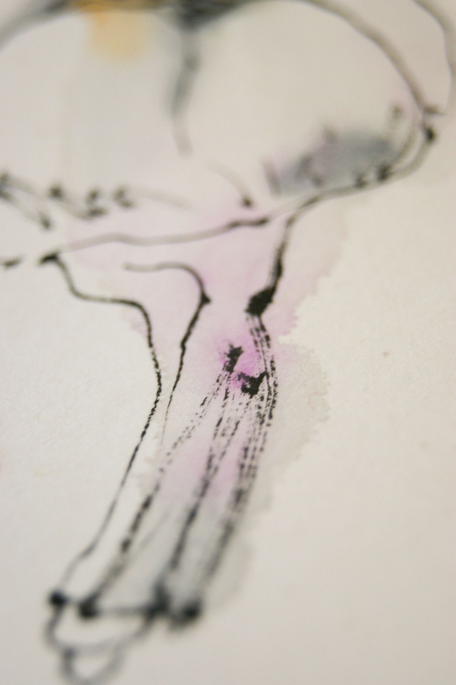 Etegami gousse d'ail