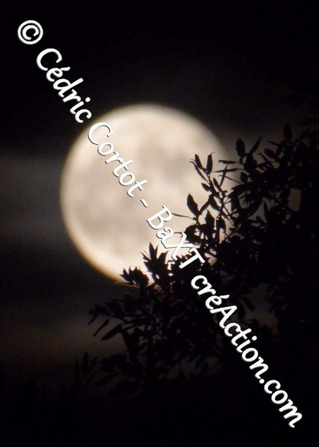 Carte postale - Paysages et divers (Ref P1170773)