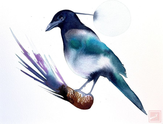 magpie #4