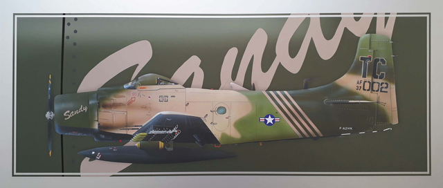 PA49 "Douglas Skyraider"