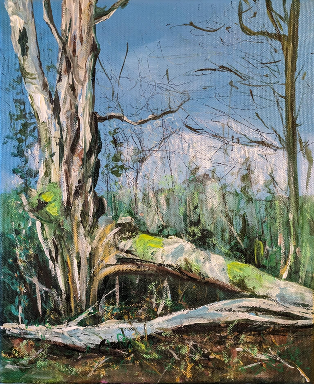Fallen tree