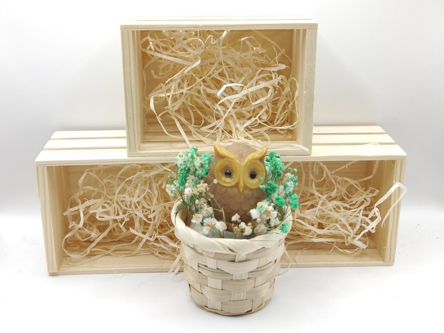 🦉 La Chouette Enchantée - Décoration &amp; Fondant 2-en-1