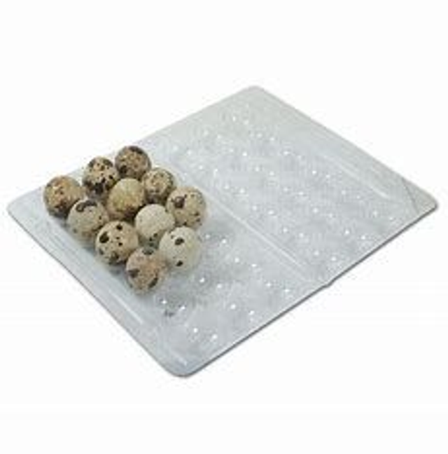 Transport, boite plastique 18 oeufs de caille