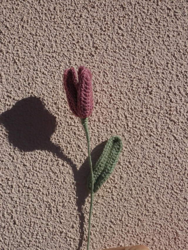 Tulipe vieux rose pailleté 