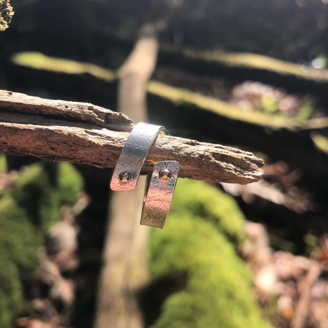 Bague Spirale Nervure Argent et Or 18 Carats
