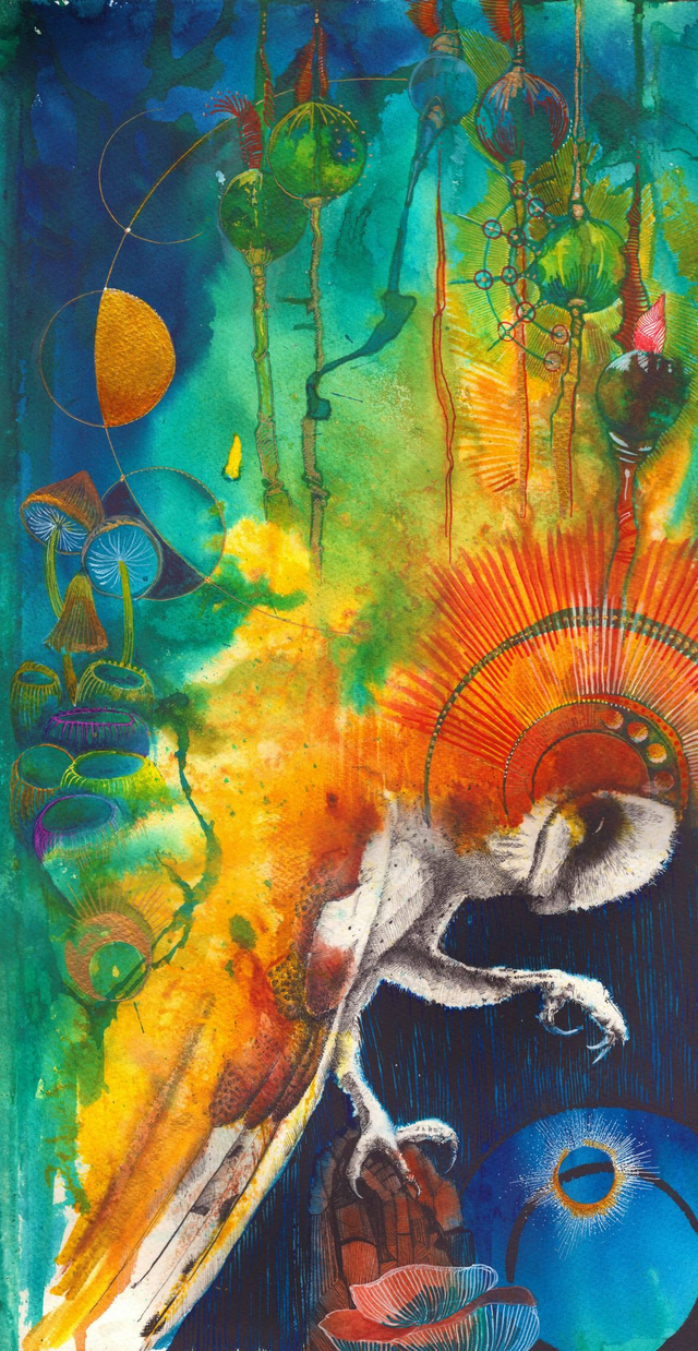 Cat or Owl - A pair of Art Prints