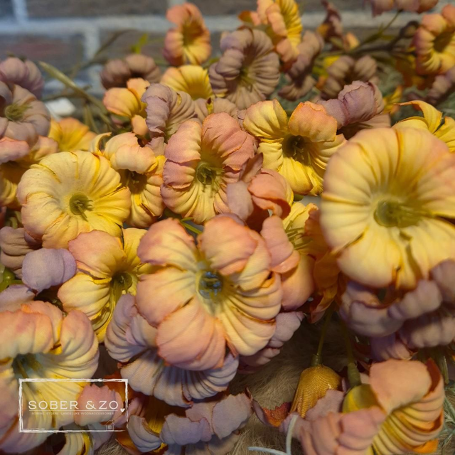 Kunsttak Calonyction Aculeatum, spray coffee