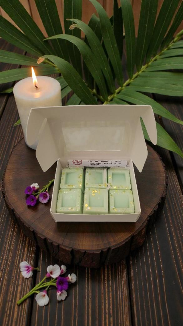 Fondants parfumés Puritas Tropica - Parfum Anti tabac tropical 