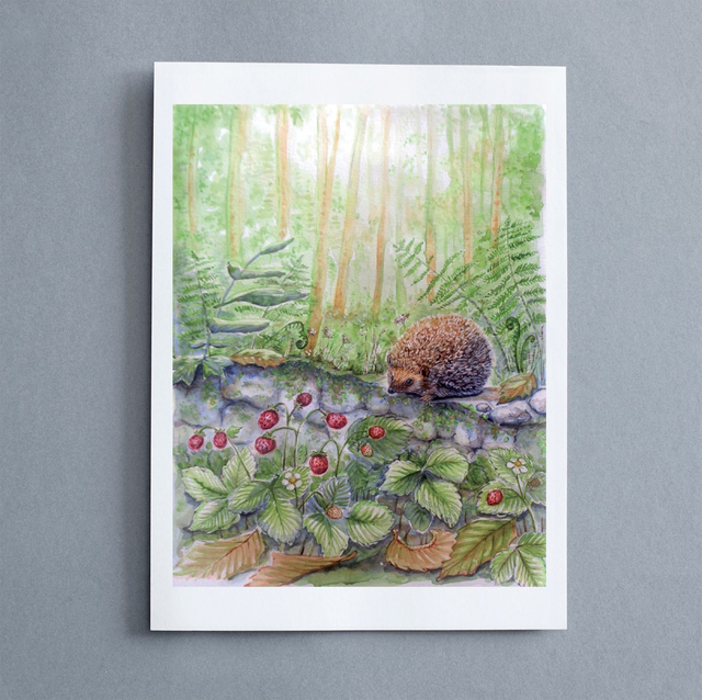 "Animali del Bosco, serie 1" - Riproduzioni numerate