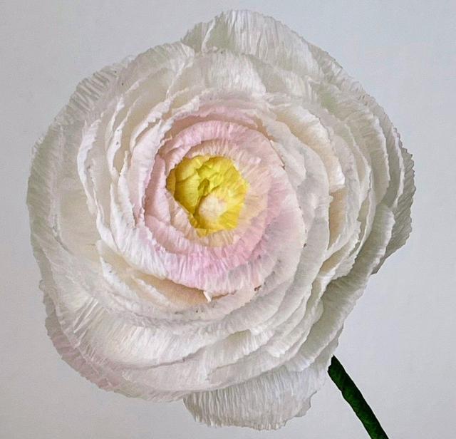 Cadre Poétique fleuri "Enaé"