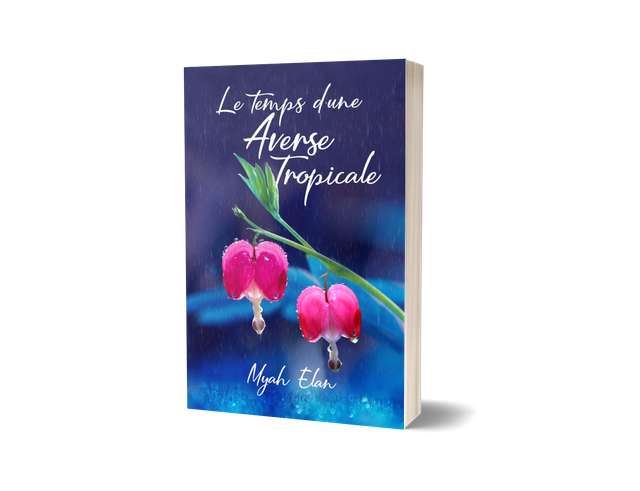 Le temps d'une averse tropicale