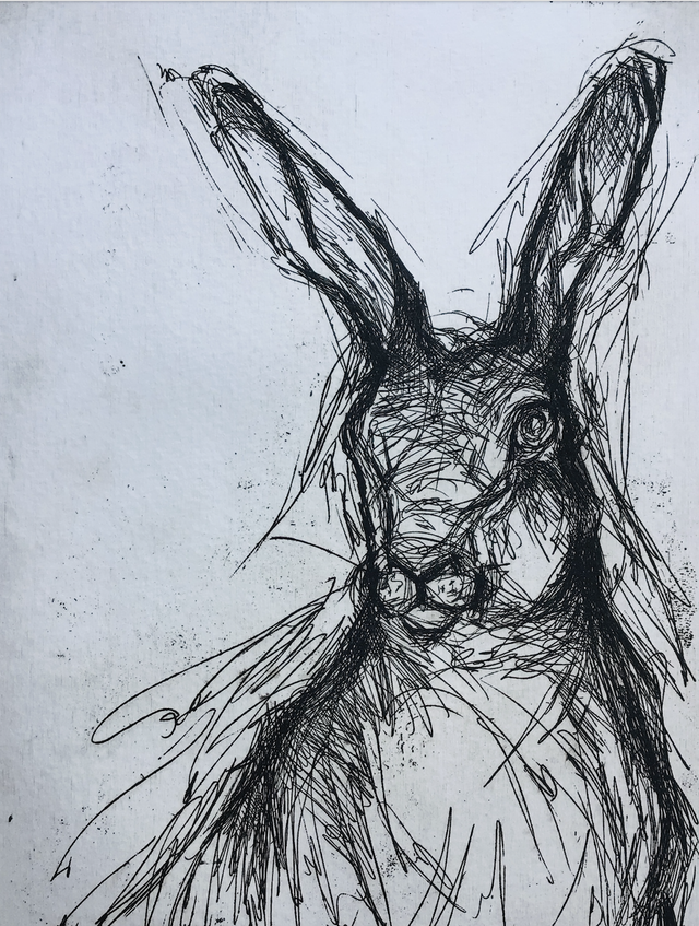 SP28 Hare (ii) 9/25 by Shelagh Popham,  Etching, 7”x 9”