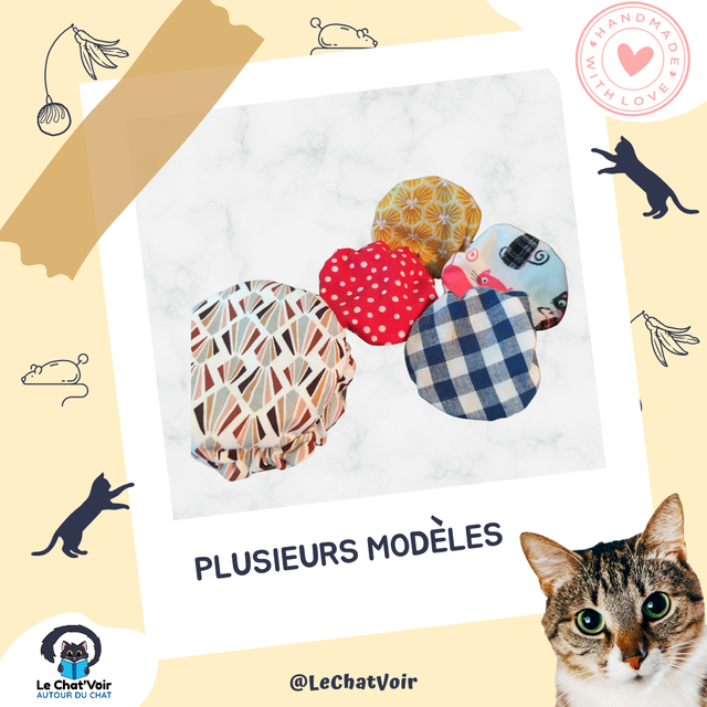 Charlotte de conservation