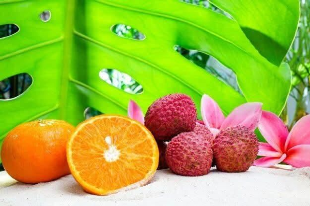 Tangerine & Lychee 