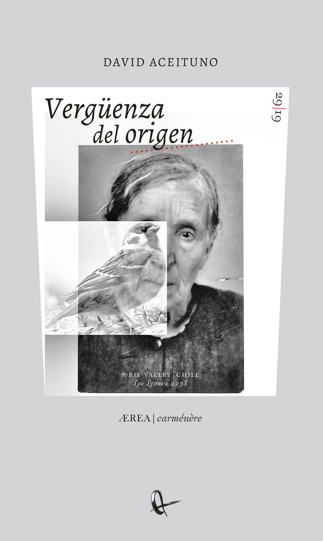 Vergüenza del origen - David Aceituno