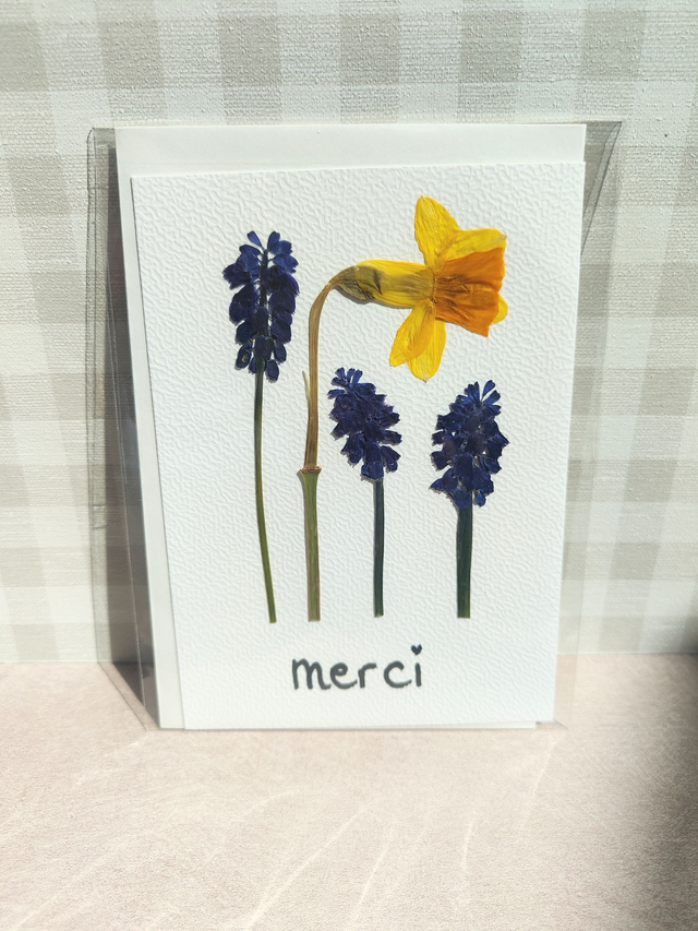 Carte Narcisse et muscaris en fleurs pressées