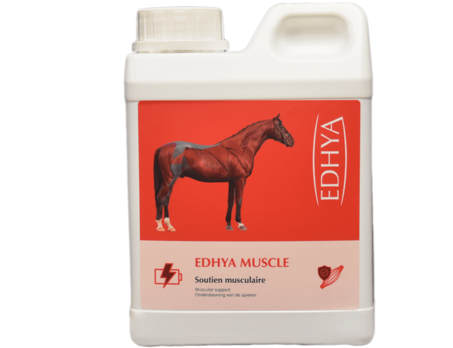 Edhya MUSCLE 5 L