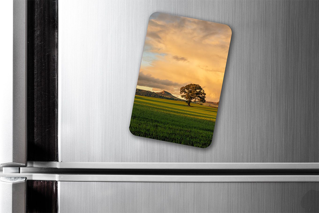 Golden Evening Light, Roseberry Topping