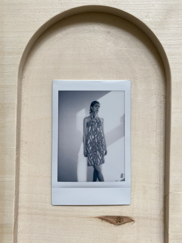 Dead Birds & Lionheart Instant Photo 4.