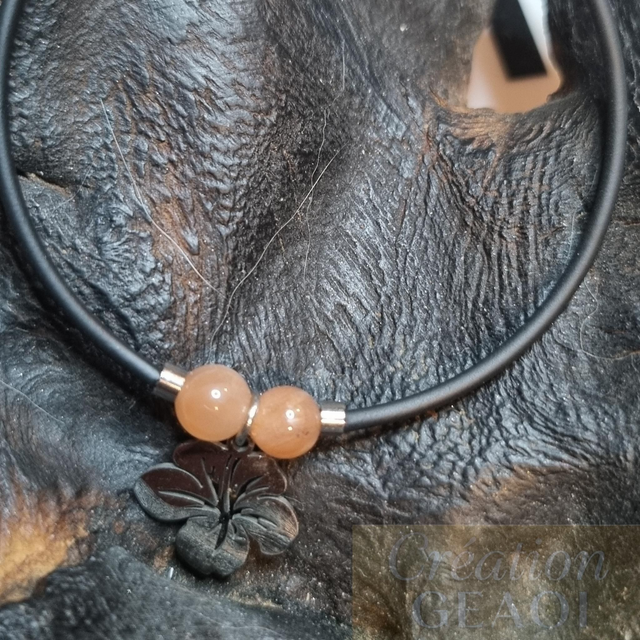 Hibiscus Pierre de Soleil