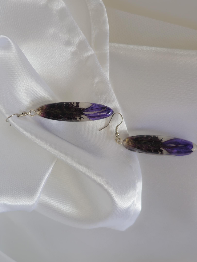 Lavanda