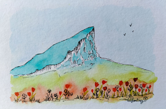 Carte magnet "Pic Saint Loup et coquelicots", 10x15cm