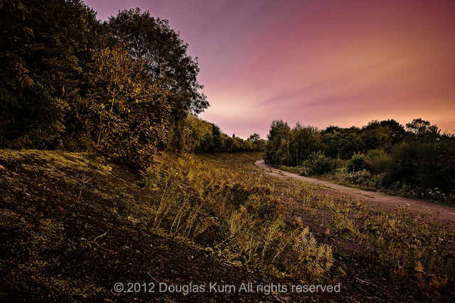 The Byfleet Banking Flowers