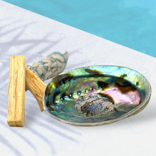 Coquille d&#039;ormeaux - Abalone