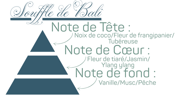 Bougie Parfumée - Souffle de Bali