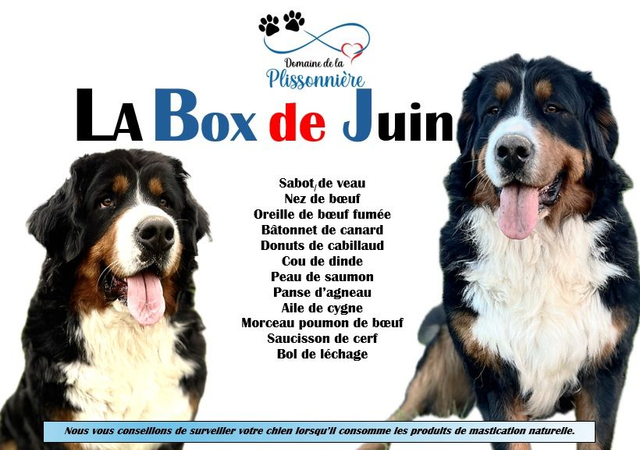A - La Box de Juin