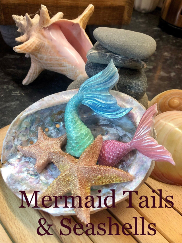 Children's Half Day Summer Seashell Soap Making, Lunch and Boat trip 10am - 3pm 25th August 2023 Age 6-16