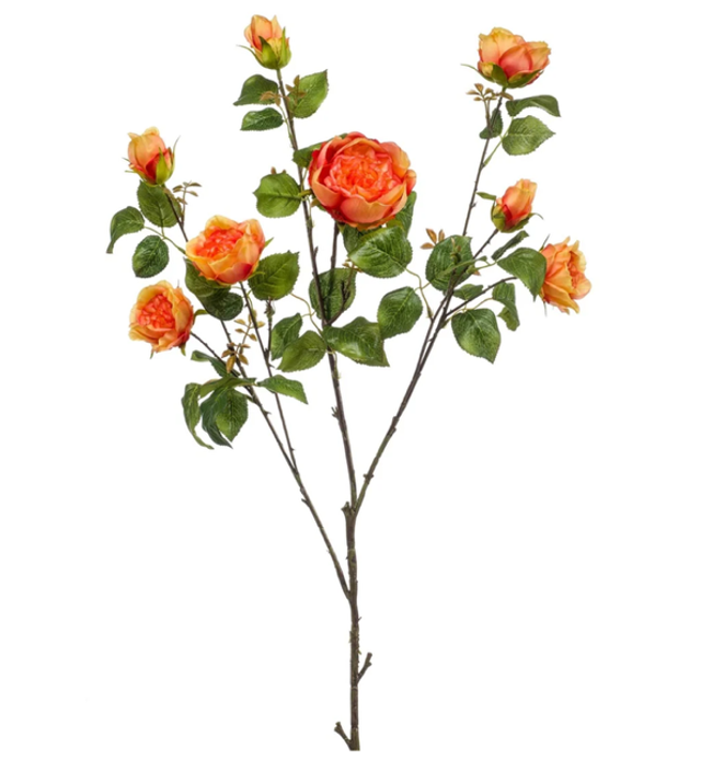 Rose london branch orange 110cm