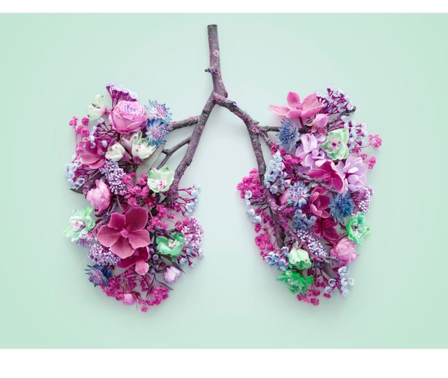 Online 1 to 1 Breathwork Session 