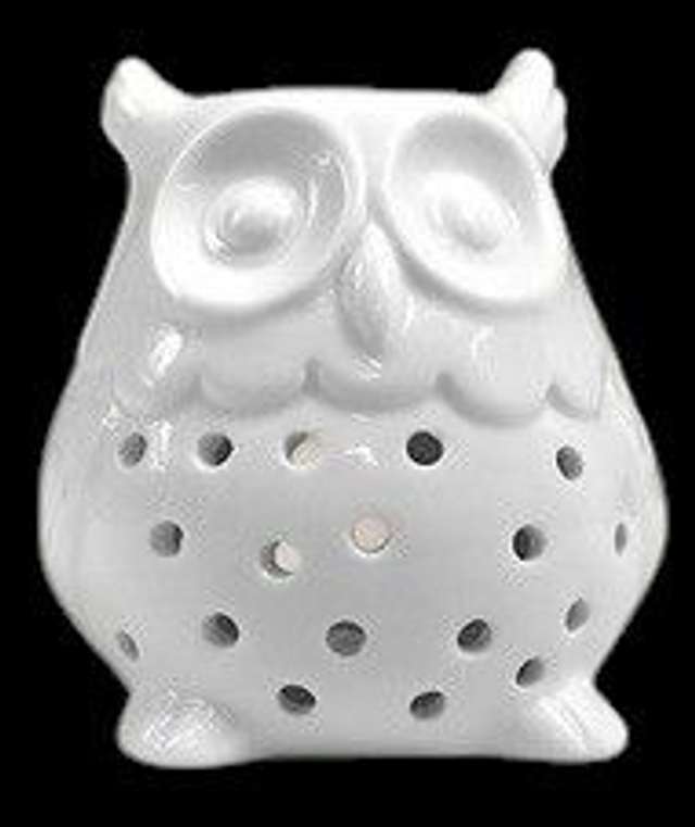 Brûle-Parfum Hibou – &quot;Sagesse Nocturne&quot;