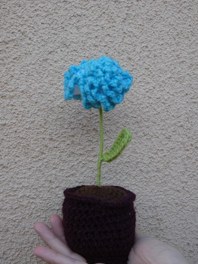  Pot de fleur Œillet bleu et blanc 