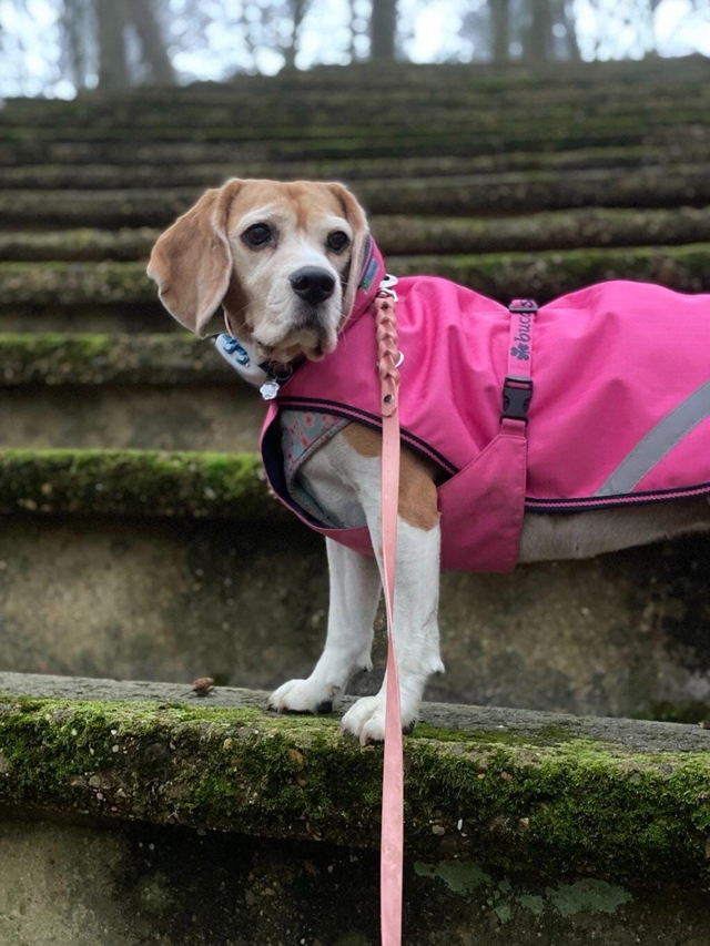 Verstelbare riem (3m) braided