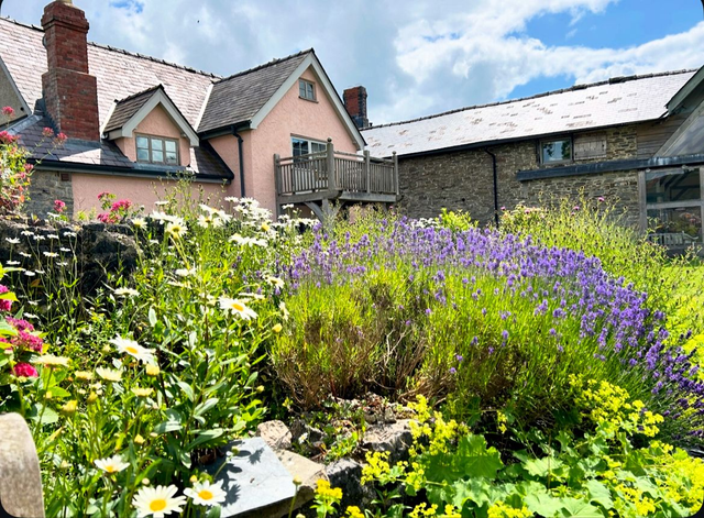 DBR2 Double Occupancy Room Deb Bunker Watercolour Art 3 night stay retreat Fri 24th - Mon 27th April 2026