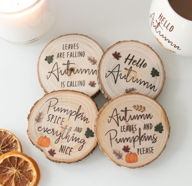 Hello Autumn Coaster Set
