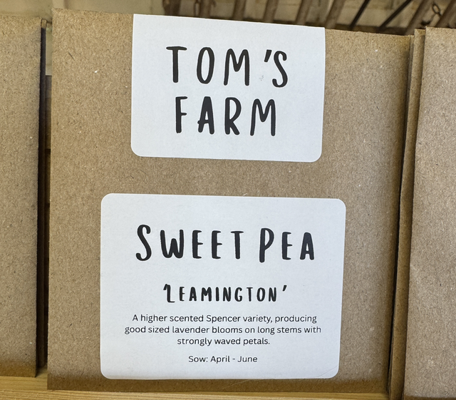 Sweet Pea Leamington 