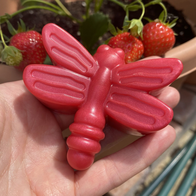 Soapimi Divine Dragonfly